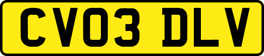 CV03DLV