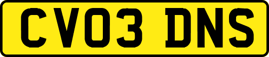 CV03DNS