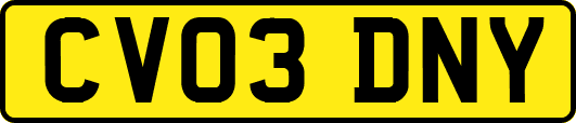 CV03DNY