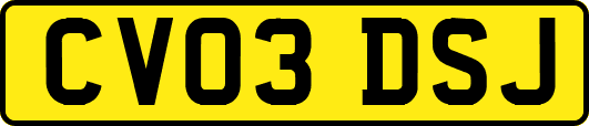 CV03DSJ