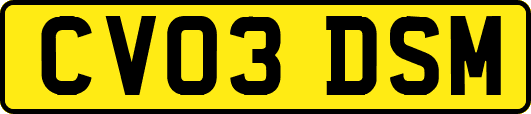 CV03DSM