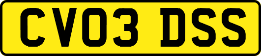CV03DSS