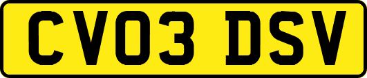 CV03DSV