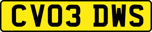 CV03DWS
