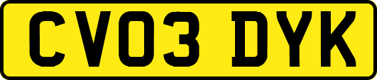 CV03DYK