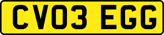 CV03EGG