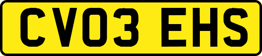 CV03EHS