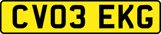CV03EKG