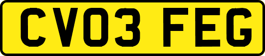 CV03FEG