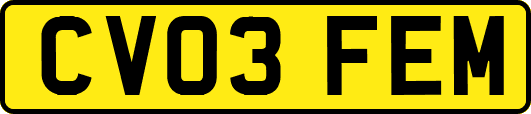 CV03FEM