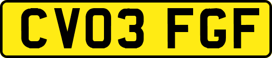 CV03FGF
