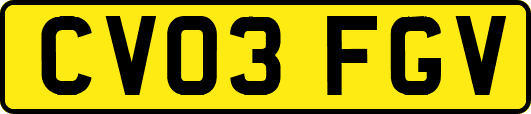 CV03FGV