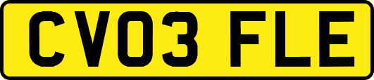 CV03FLE