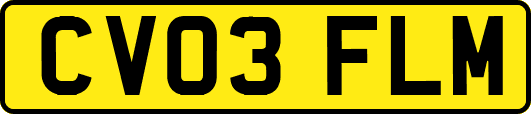 CV03FLM