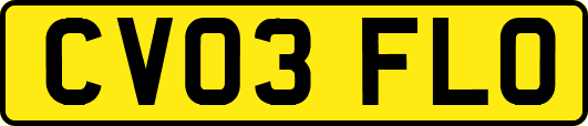 CV03FLO