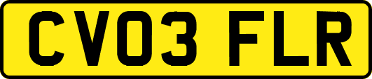 CV03FLR