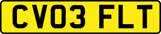 CV03FLT
