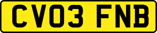 CV03FNB