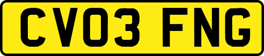 CV03FNG