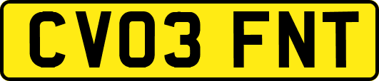 CV03FNT