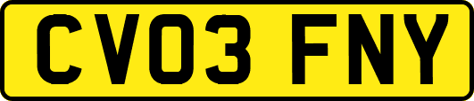 CV03FNY