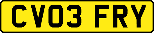 CV03FRY