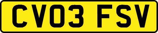 CV03FSV