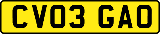 CV03GAO