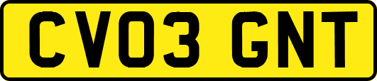 CV03GNT