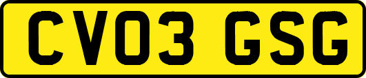 CV03GSG