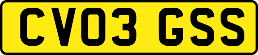 CV03GSS