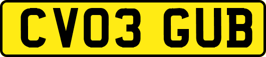 CV03GUB