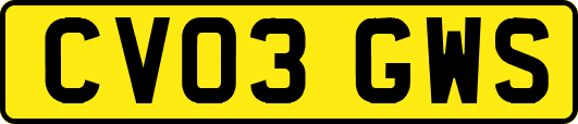 CV03GWS