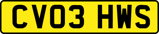 CV03HWS