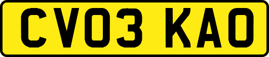 CV03KAO