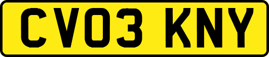 CV03KNY
