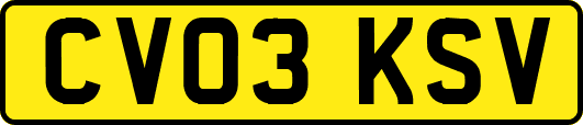 CV03KSV