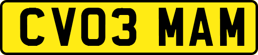 CV03MAM