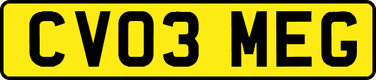 CV03MEG