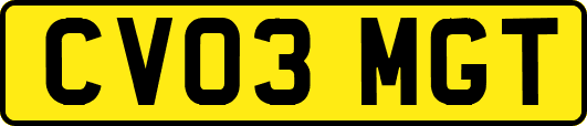 CV03MGT