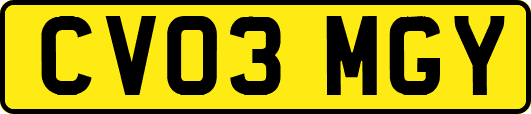 CV03MGY