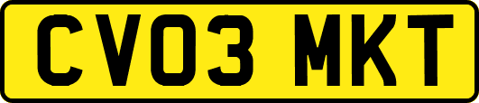 CV03MKT