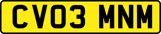CV03MNM