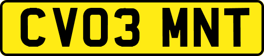 CV03MNT