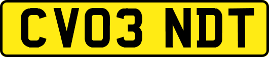 CV03NDT
