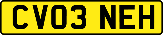 CV03NEH