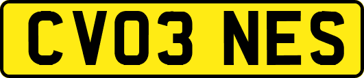 CV03NES