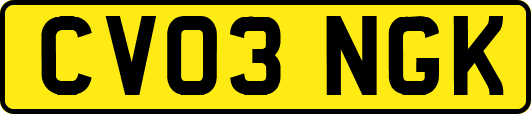 CV03NGK