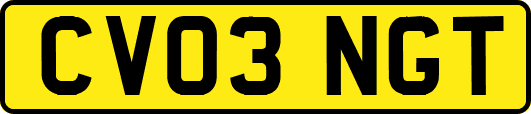 CV03NGT