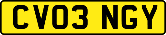 CV03NGY